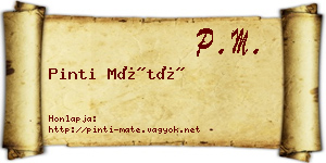 Pinti Máté névjegykártya