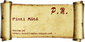 Pinti Máté névjegykártya